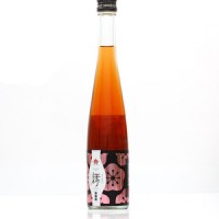 本庄 緣 Enishi 梅酒 375ml